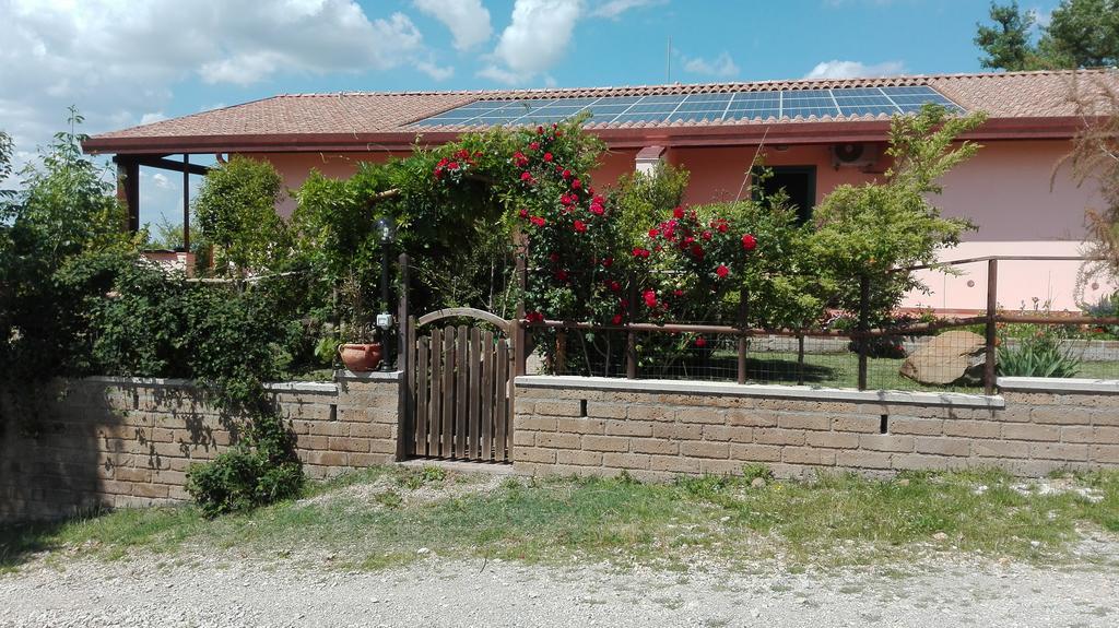 Agriturismo Collelungo Di Maremma Diaccialone Luaran gambar