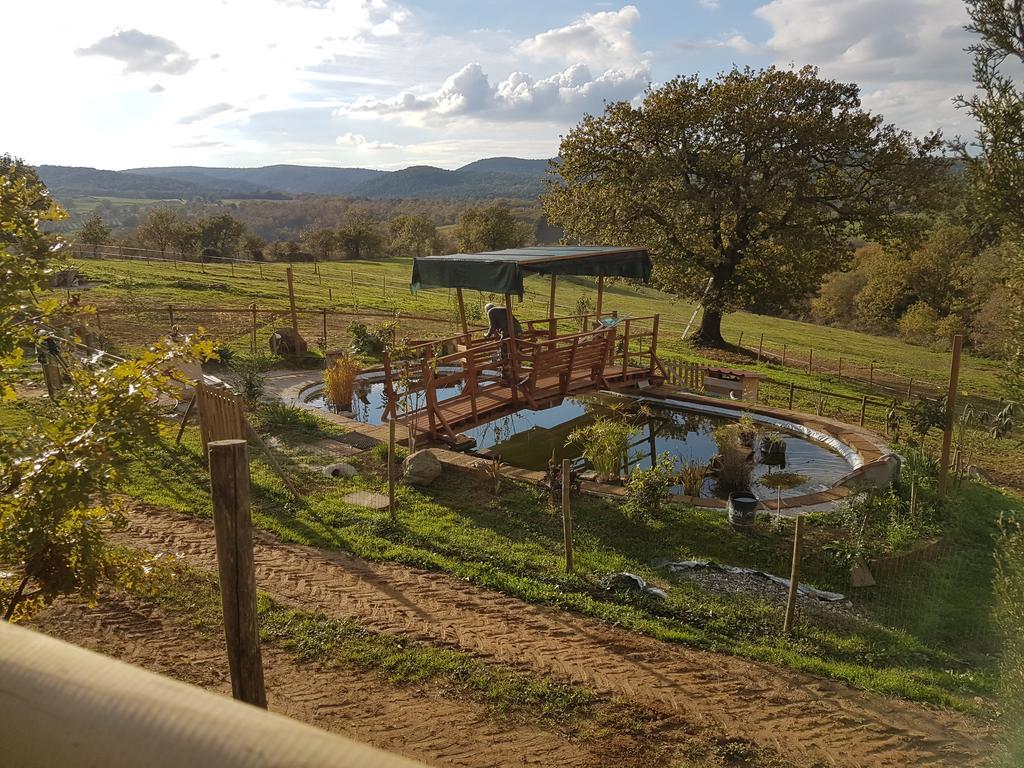 Agriturismo Collelungo Di Maremma Diaccialone Luaran gambar