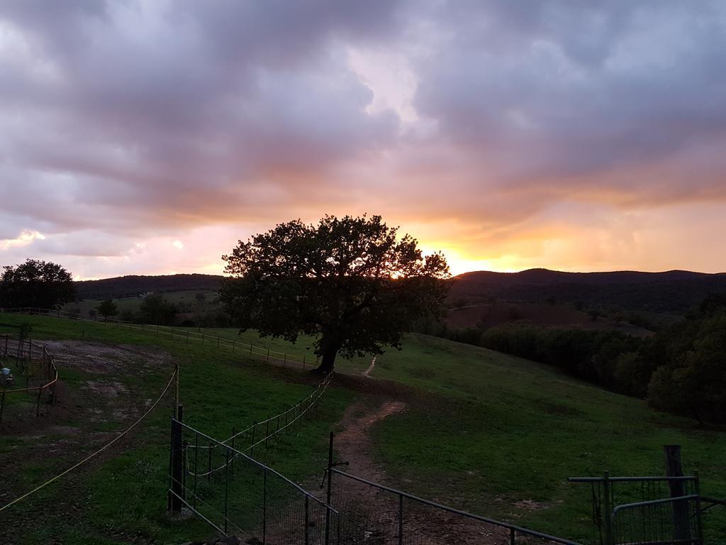 Agriturismo Collelungo Di Maremma Diaccialone Luaran gambar