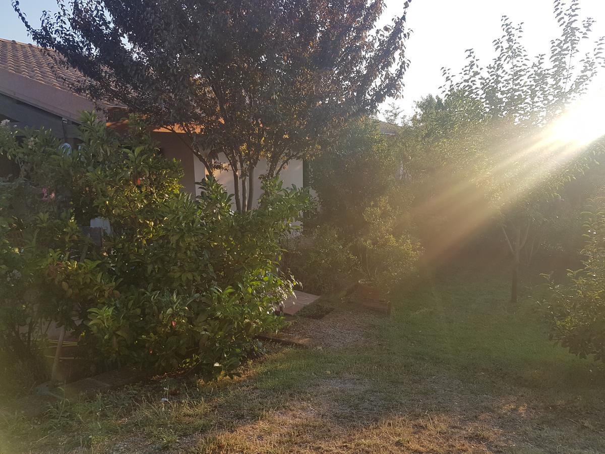 Agriturismo Collelungo Di Maremma Diaccialone Luaran gambar